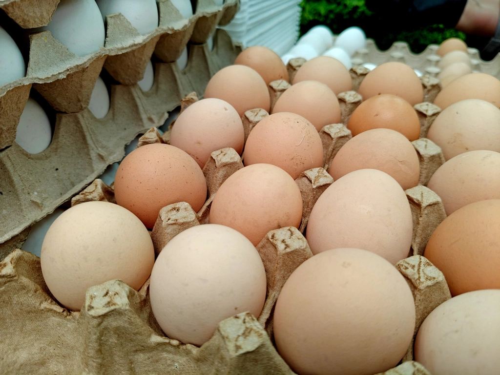 IMG20250411095055 (1).jpg IMG20250411095055 (1).jpg