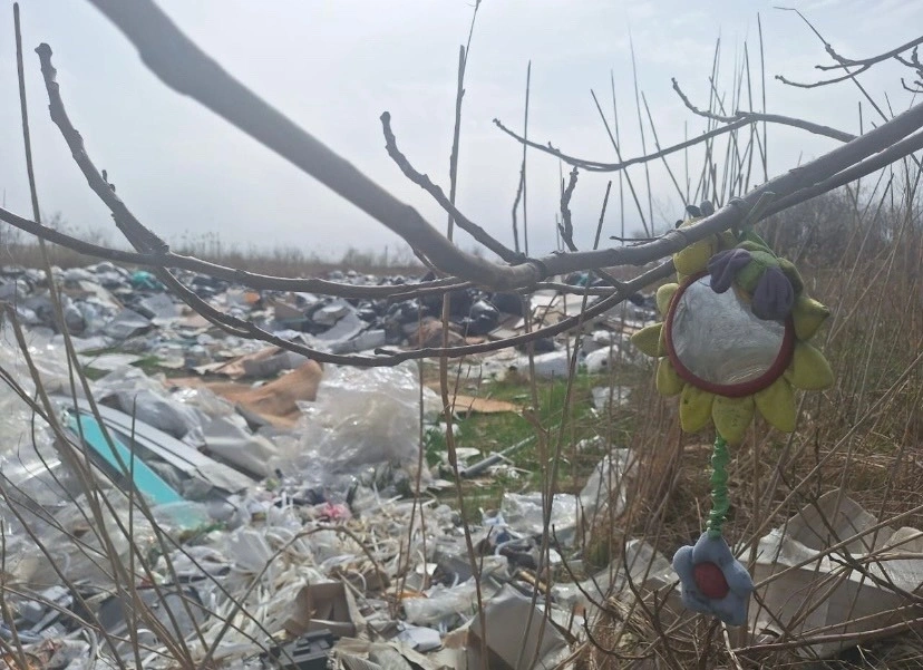 цыг1.jpeg цыг1.jpeg