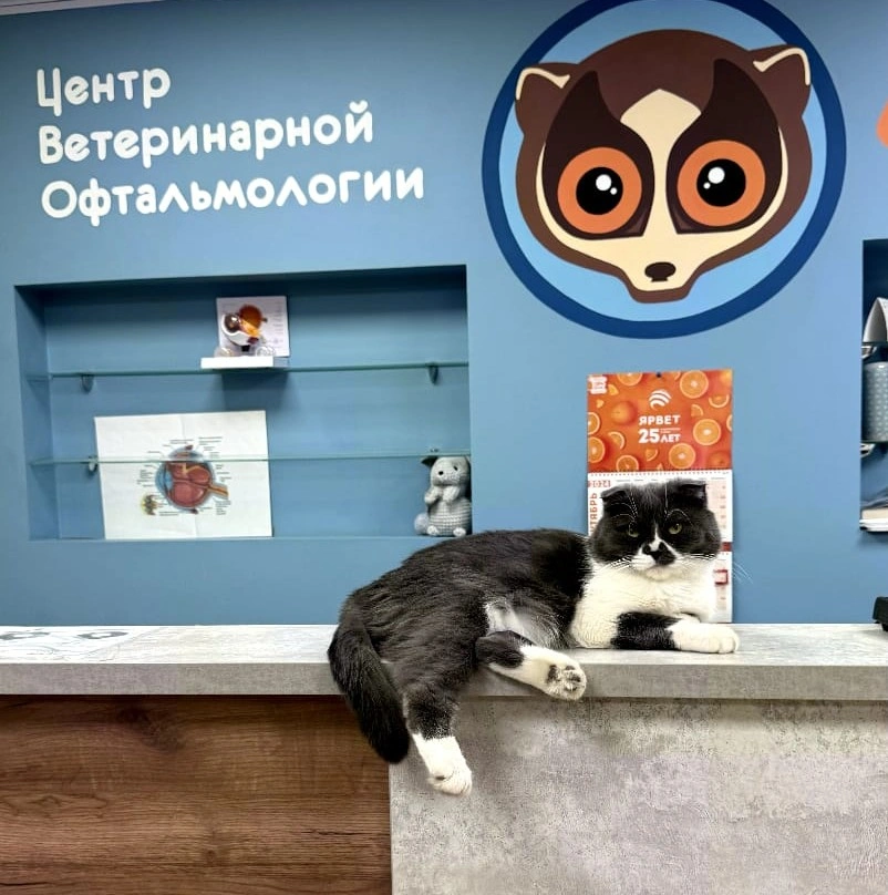 61f26c07-8bf1-46b4-85a9-5815cd0ac5d7.jpeg 61f26c07-8bf1-46b4-85a9-5815cd0ac5d7.jpeg