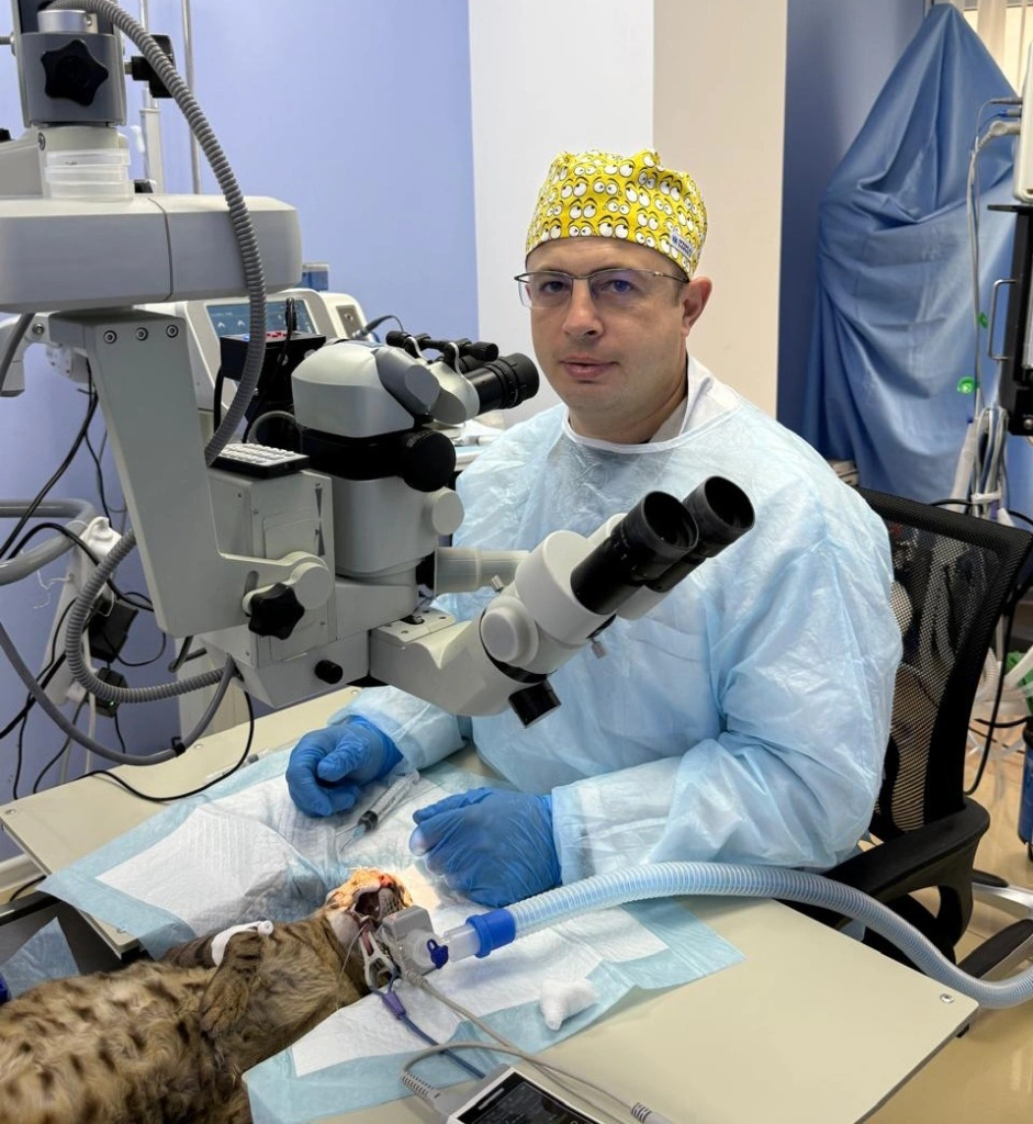 ca33f2a7-4695-4414-8e91-a3c28c14fb42.jpeg ca33f2a7-4695-4414-8e91-a3c28c14fb42.jpeg