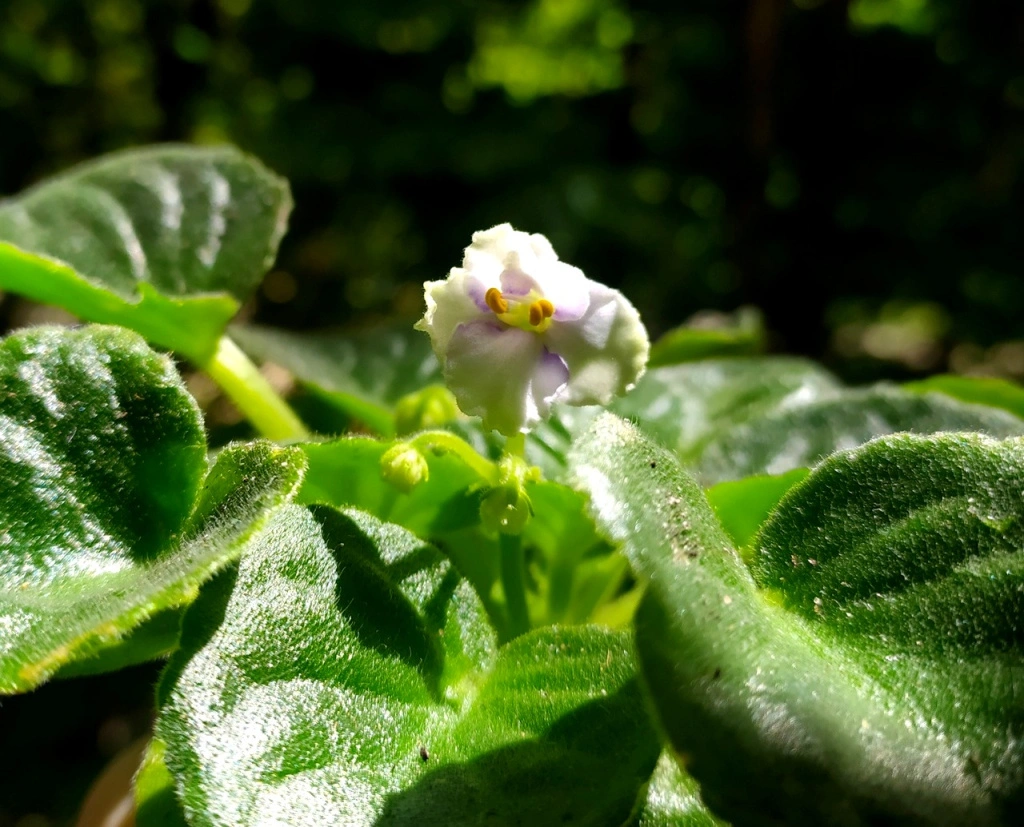 dwBUlr0L4Bw (1).jpg dwBUlr0L4Bw (1).jpg