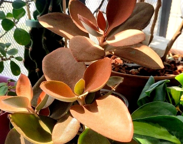 5213092340674197522 (1).jpg