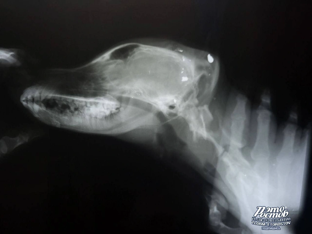 photo_2025-07-17_15-09-37 (4).jpg