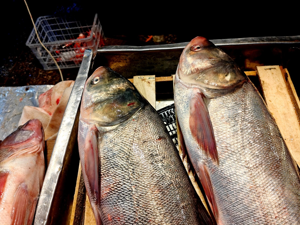 IMG20250404094318 (1).jpg IMG20250404094318 (1).jpg