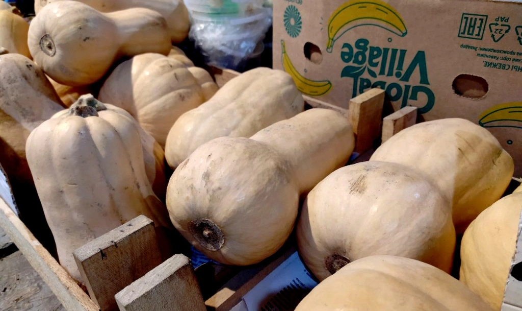 5452073052692145403 (1).jpg 5452073052692145403 (1).jpg