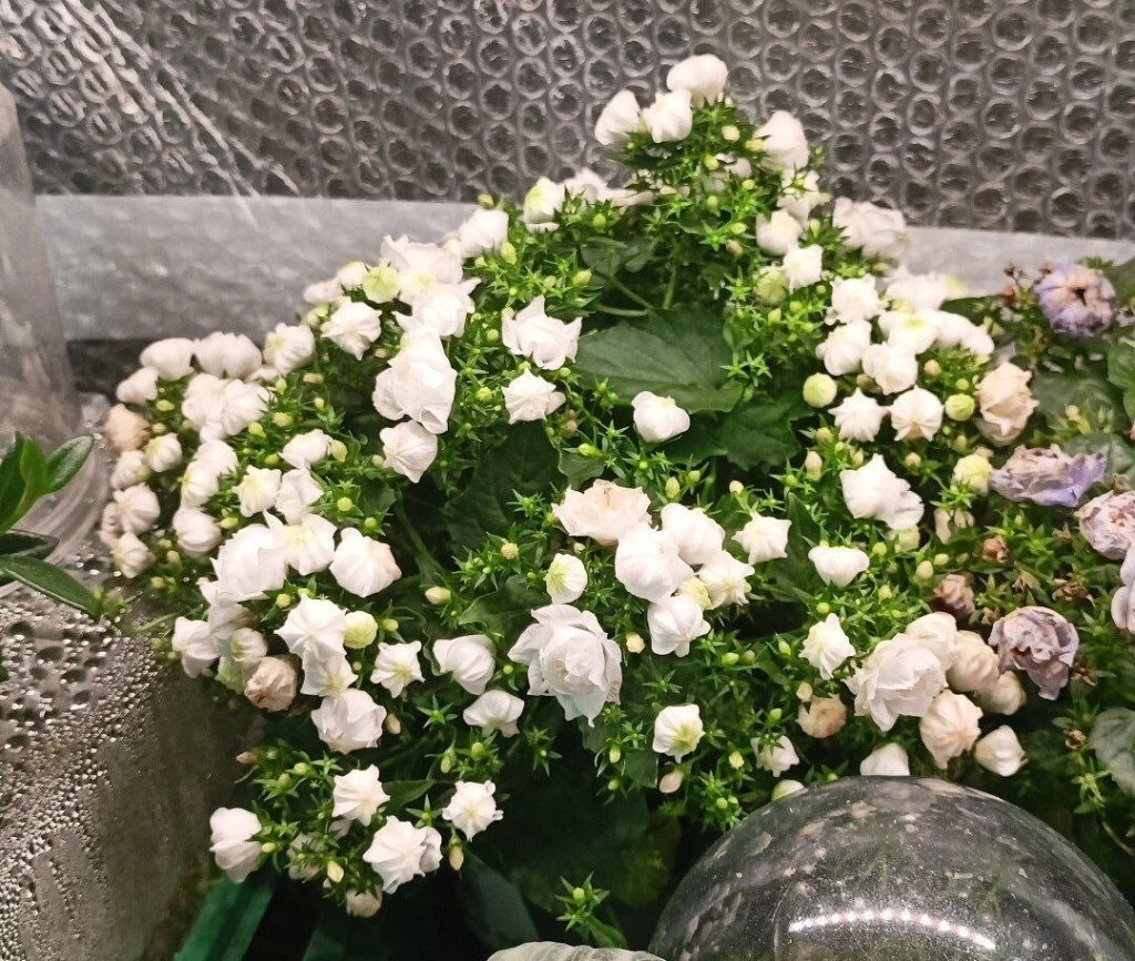 камп (1).jpg камп (1).jpg