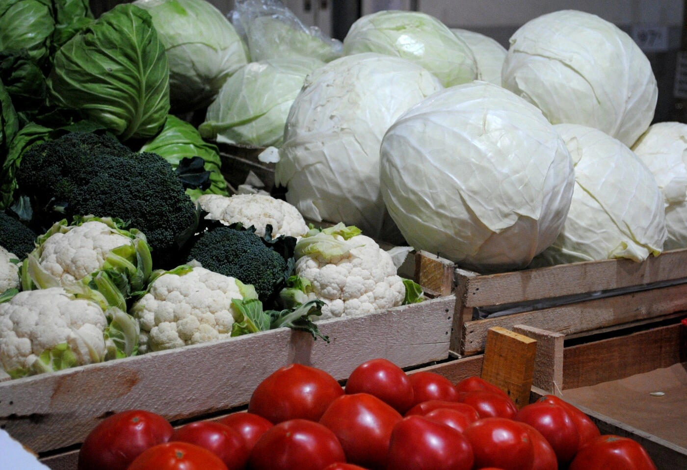 капуста2.jpg капуста2.jpg