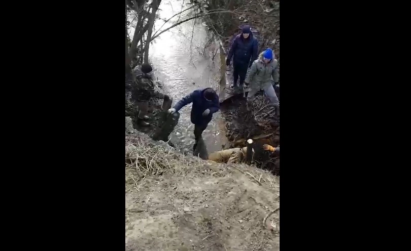 Фото: скриншот с видео