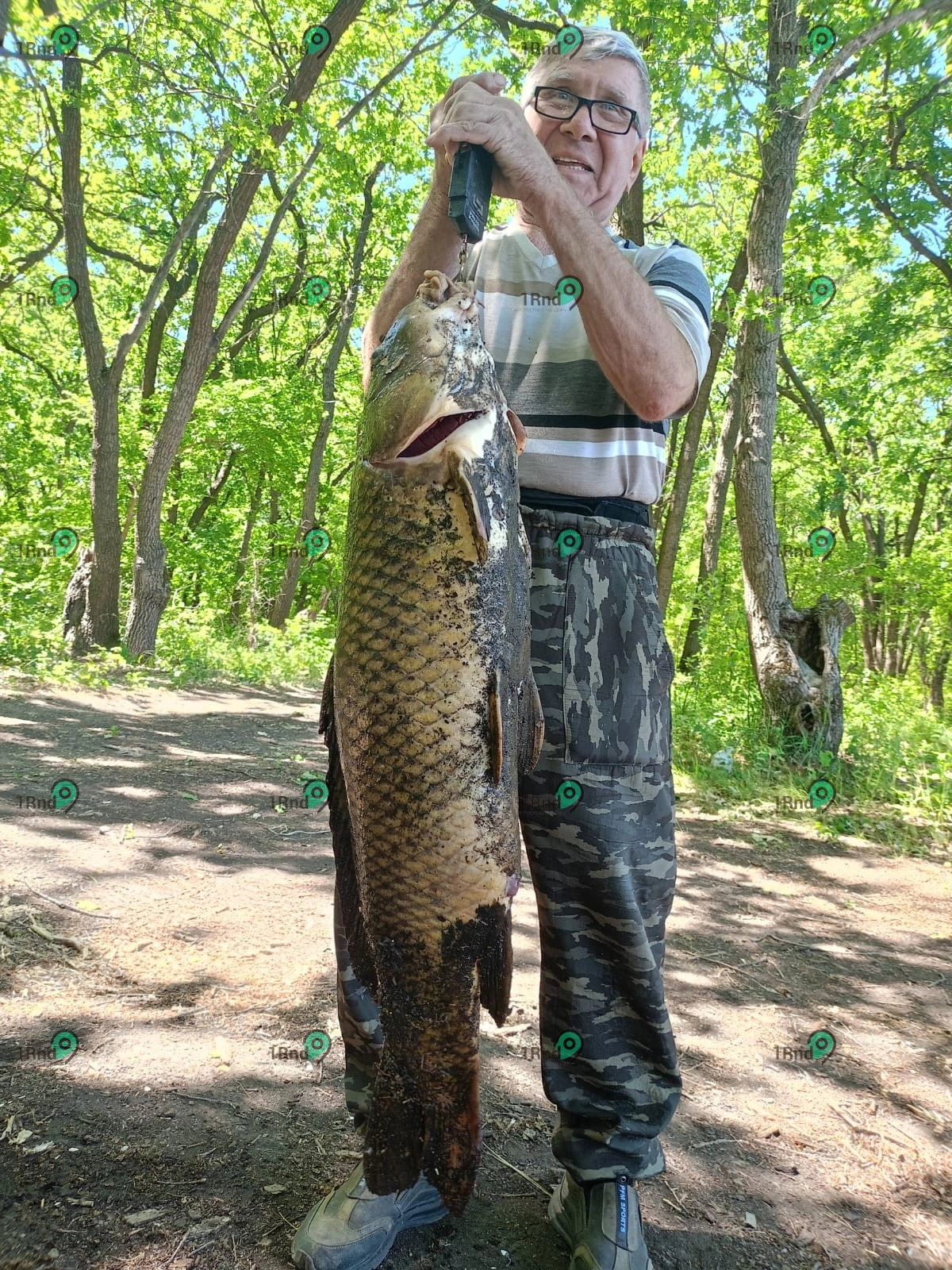 66535c45507d6_LSagf_QNydo.jpg 66535c45507d6_LSagf_QNydo.jpg