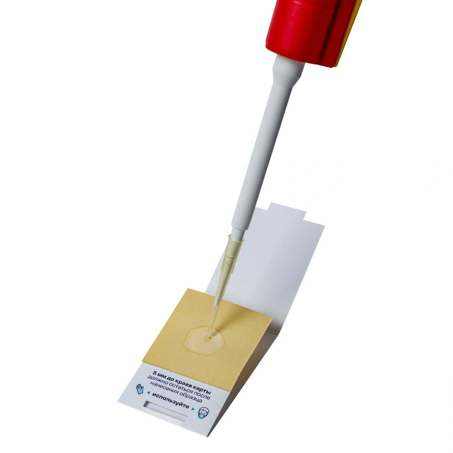 прототип РНК-карты.jpeg прототип РНК-карты.jpeg