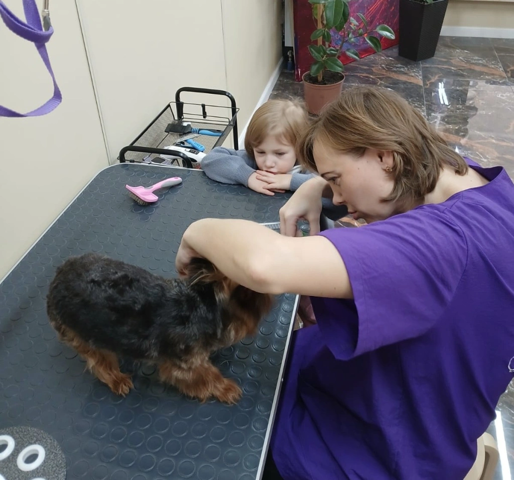 76296b55-fdfa-4690-a422-0debeb4651d5.jpeg 76296b55-fdfa-4690-a422-0debeb4651d5.jpeg