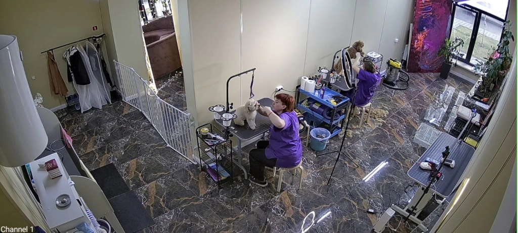 a93923bb-32f2-40a7-8697-836ccb585f16.jpeg a93923bb-32f2-40a7-8697-836ccb585f16.jpeg