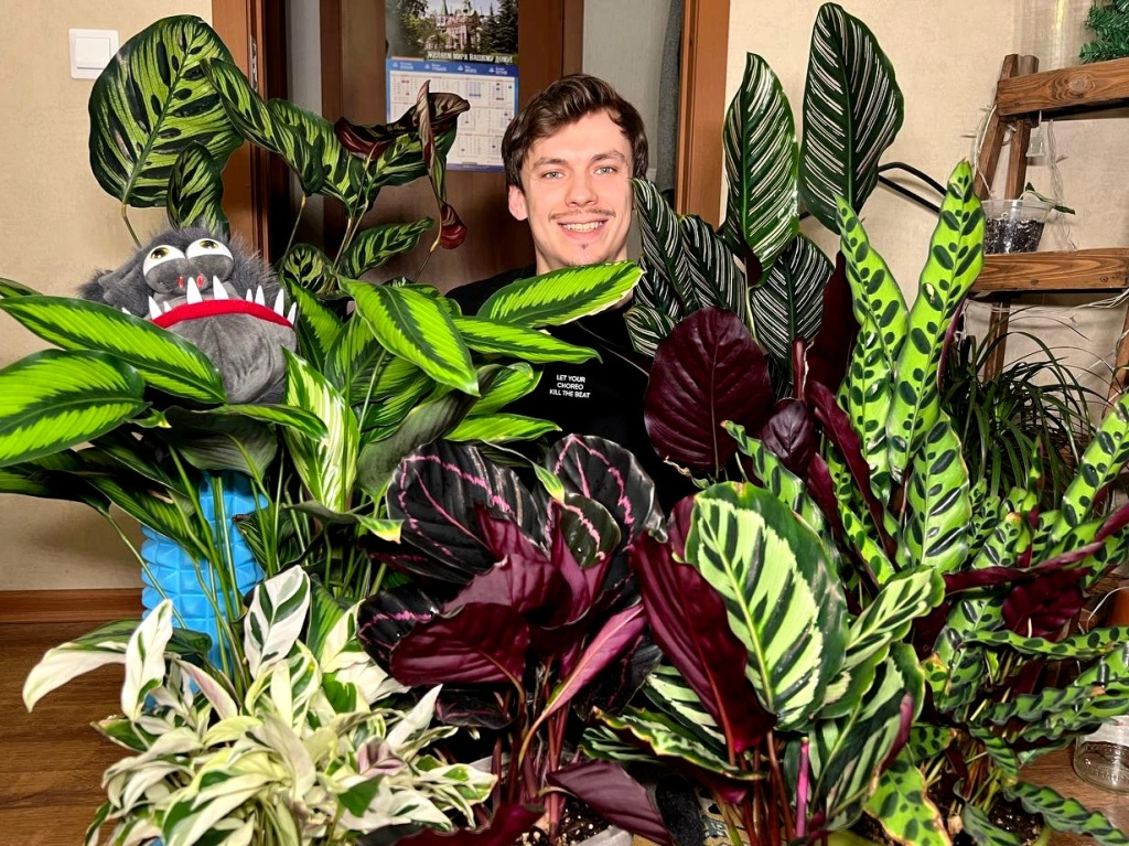 5456509217038005269 (1).jpg 5456509217038005269 (1).jpg