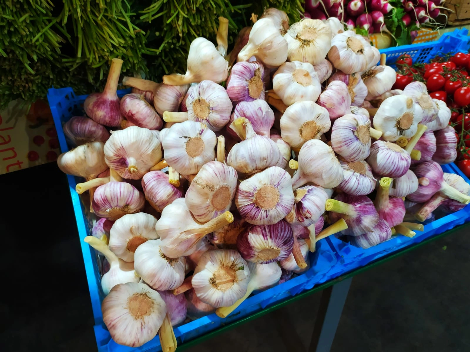 Чеснок молодой.jpeg Чеснок молодой.jpeg