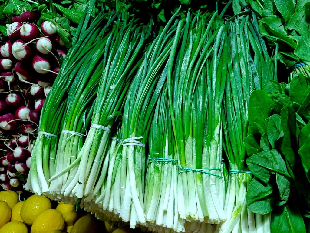 IMG20250411094753 (1).jpg IMG20250411094753 (1).jpg