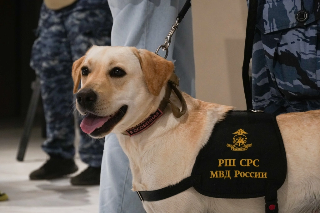 DSC00058.jpg DSC00058.jpg