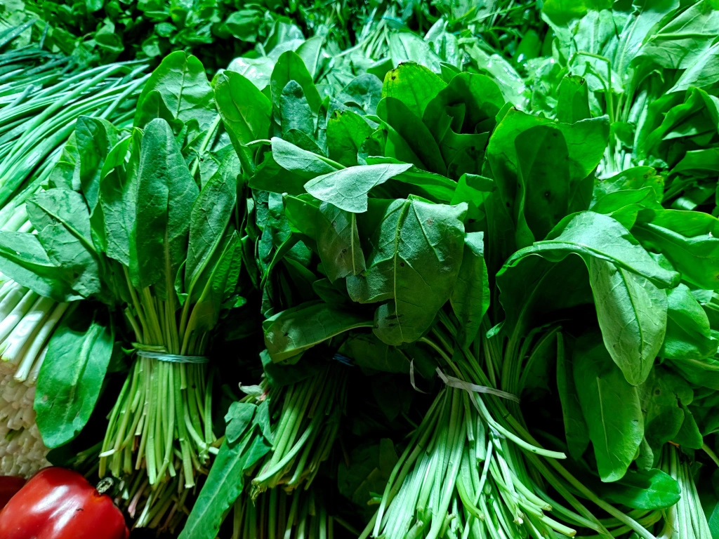 IMG20250411094750 (1).jpg IMG20250411094750 (1).jpg