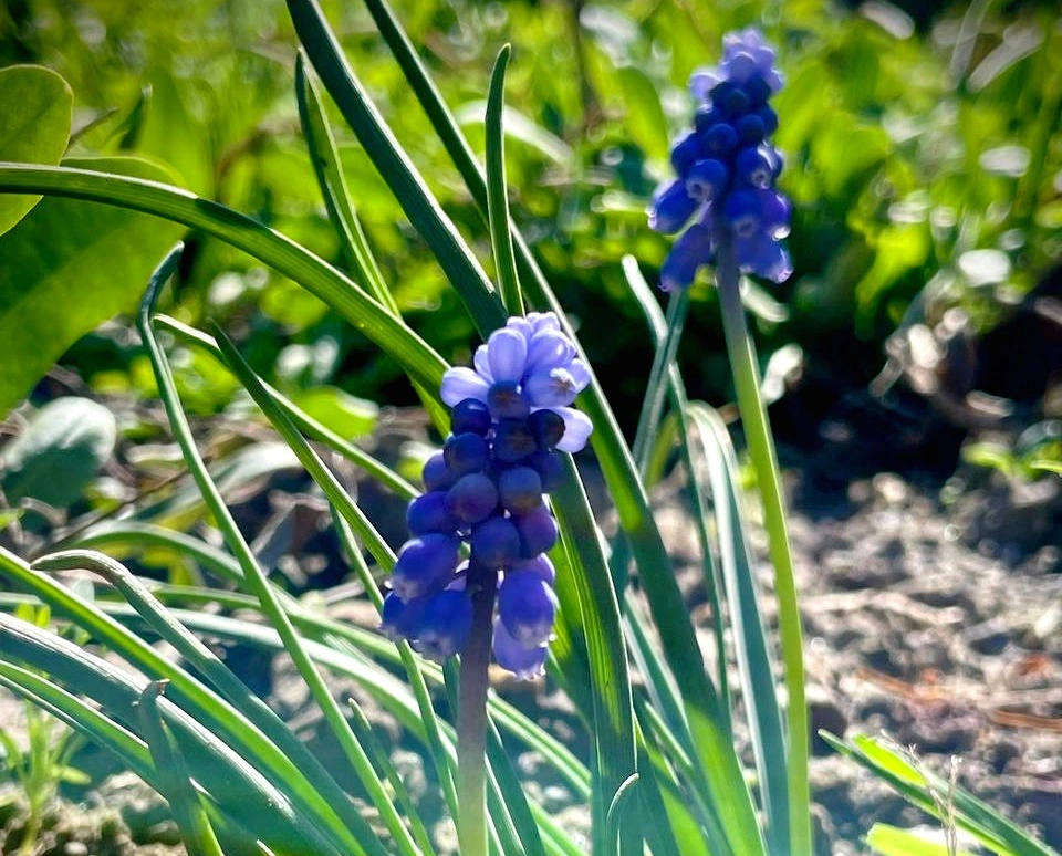 5192962696541239161 (1).jpg