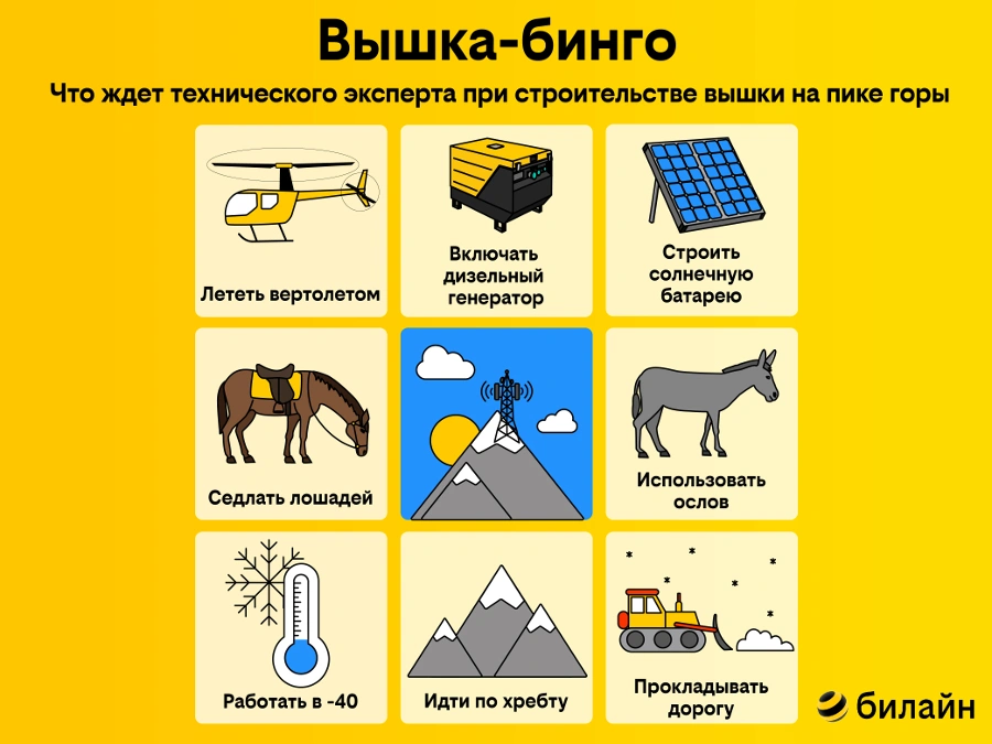 фото билайн