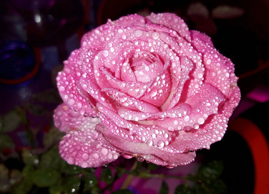 20170929_102051 (1).jpg