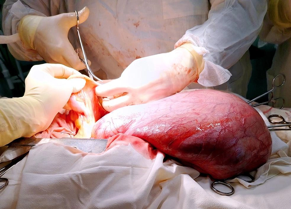 РОКБ.jpg РОКБ.jpg