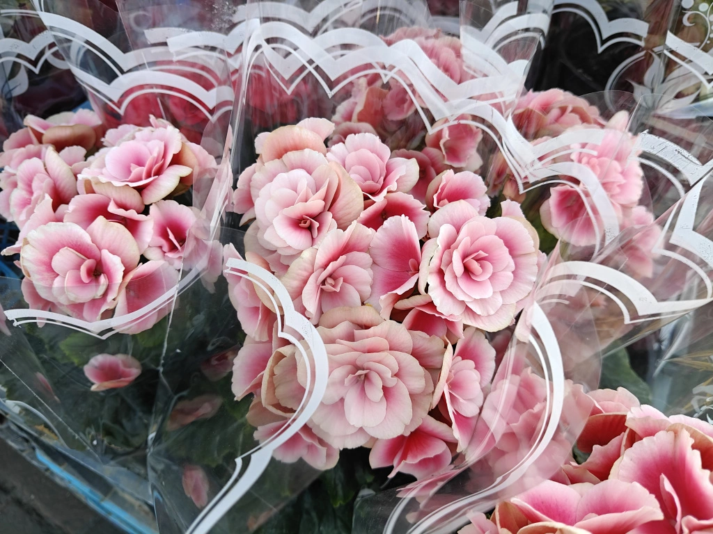 бег2.jpg бег2.jpg