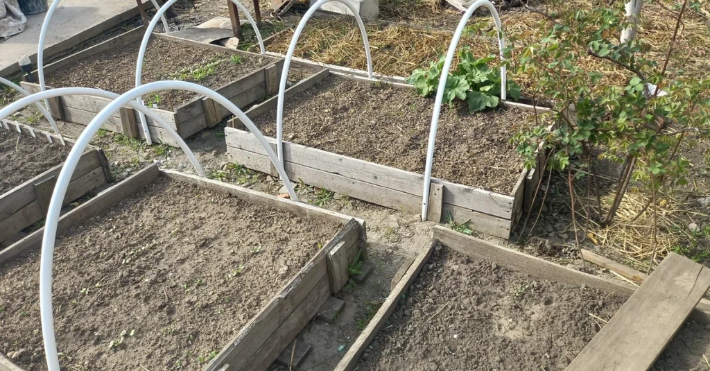 огород.png огород.png