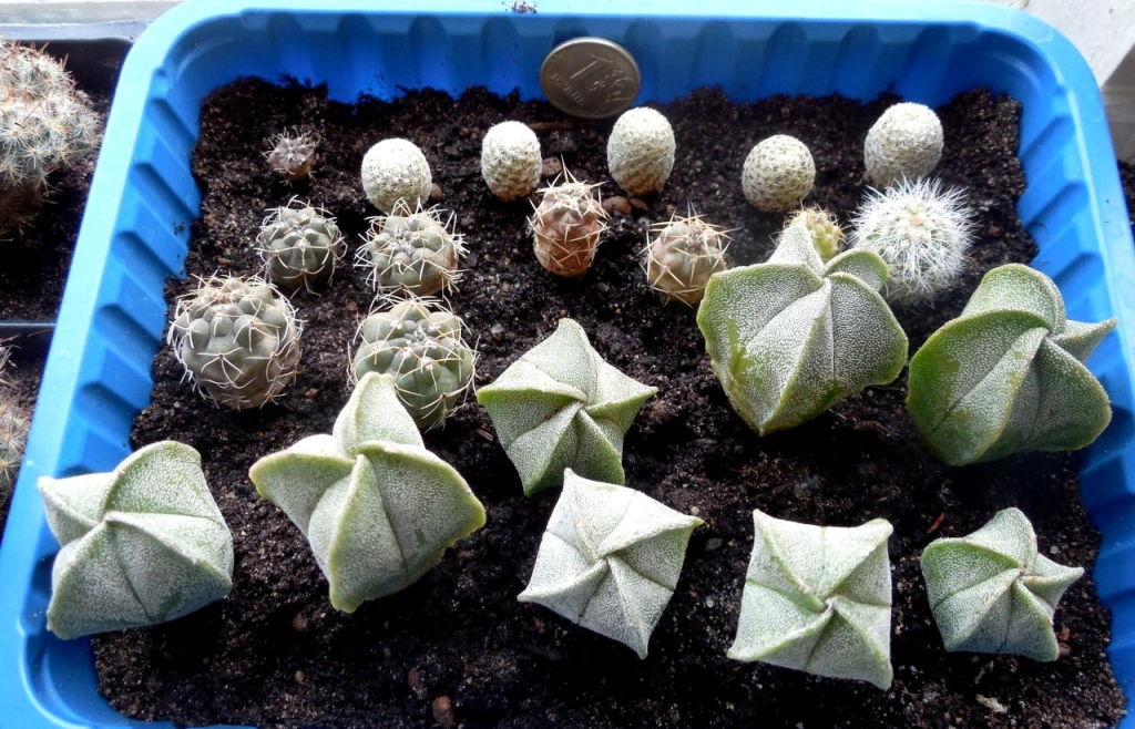 5373352697362772186 (1).jpg