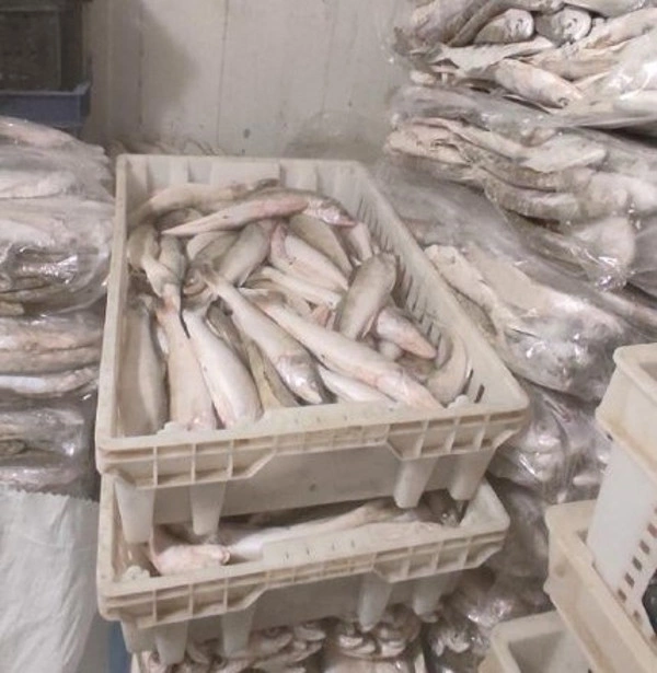 цех2.jpg цех2.jpg