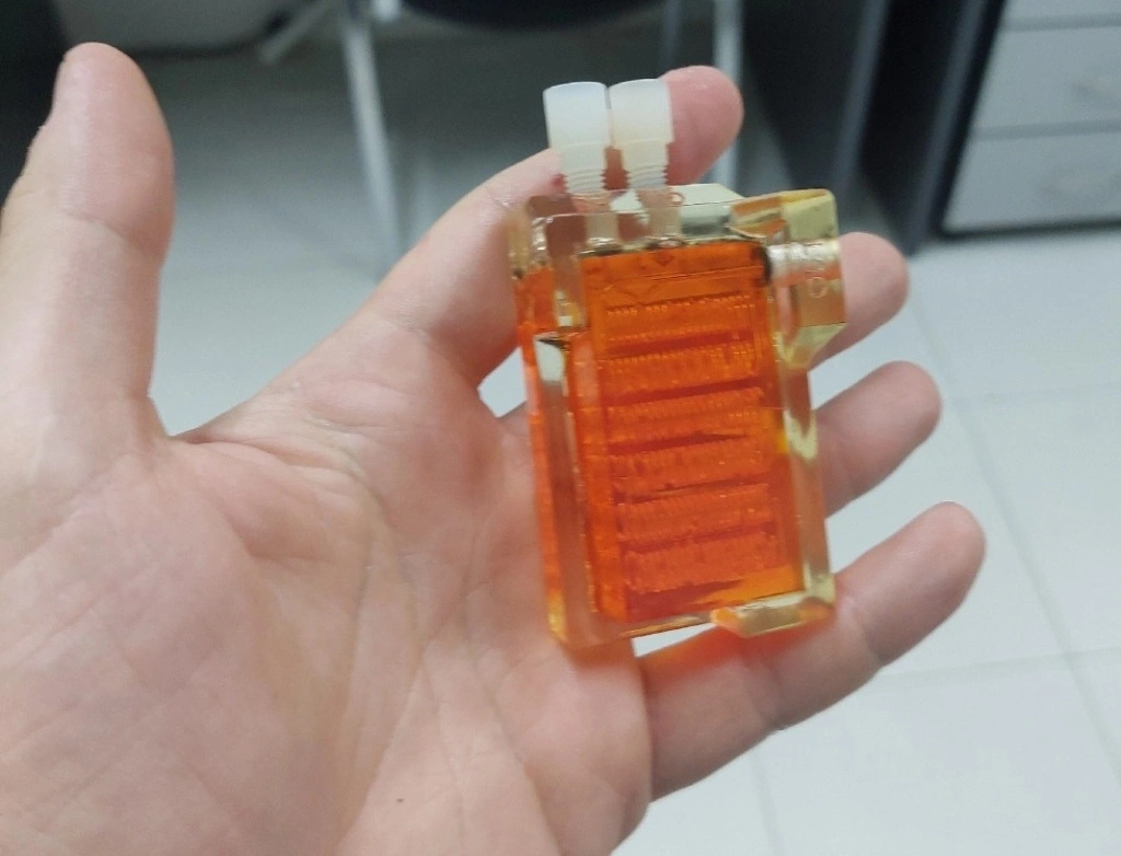 b69e2799-c2bd-4ac8-a986-1bd100cd3516 (2).jpg b69e2799-c2bd-4ac8-a986-1bd100cd3516 (2).jpg