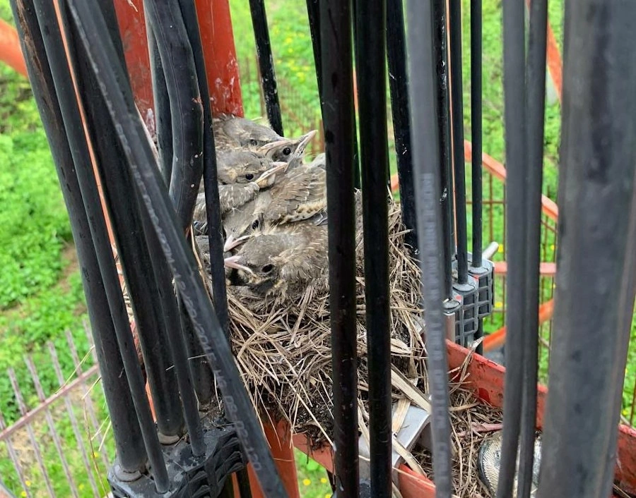 WhatsApp Image 2023-09-12 at 14.26.50.jpeg