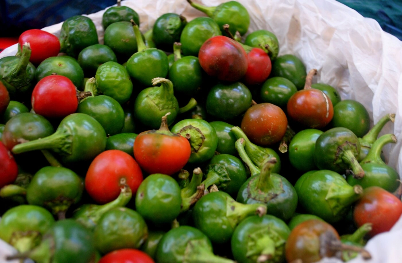 перец1.jpg перец1.jpg