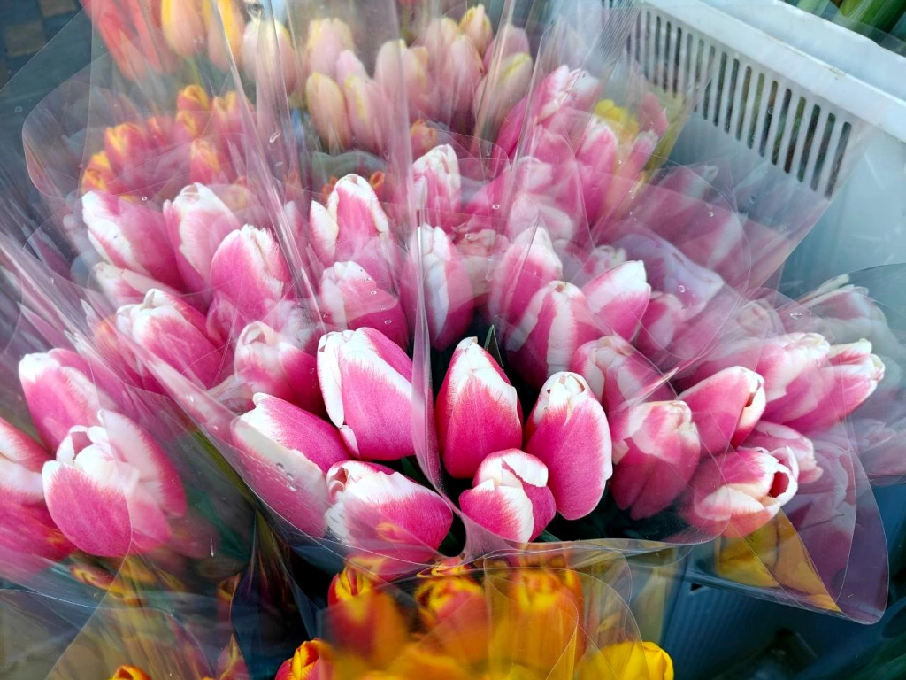 5354901526449089753 (1).jpg 5354901526449089753 (1).jpg