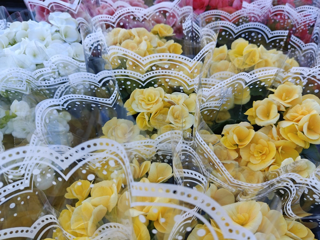 бег3.jpg бег3.jpg