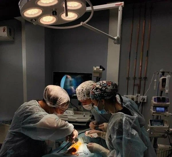 46b6af1a-b884-4aea-b96c-7ebb44bc44ca.jpeg 46b6af1a-b884-4aea-b96c-7ebb44bc44ca.jpeg