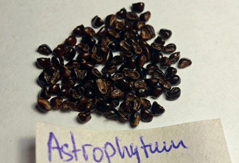 5375370507358180757 (1) (1).jpg