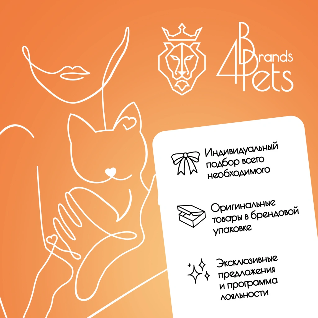 кошки фото для поста.jpg кошки фото для поста.jpg