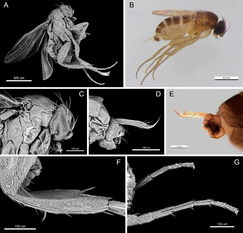 IMG_9264.PNG IMG_9264.PNG