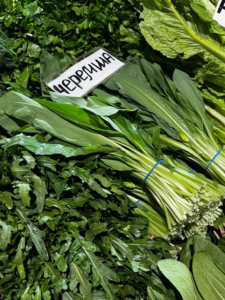 черемша.jpeg черемша.jpeg