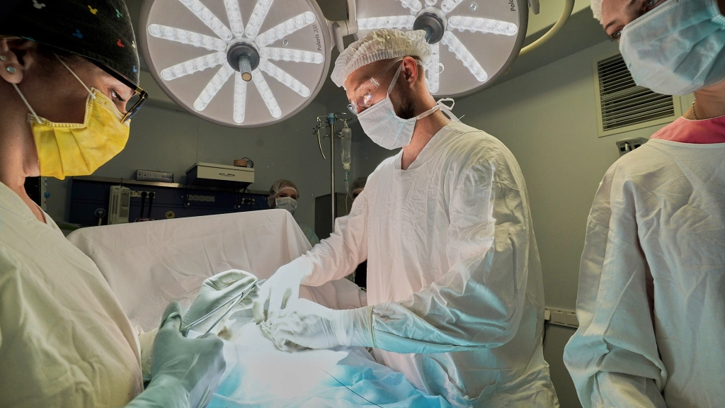 DSC06954_1.jpg DSC06954_1.jpg