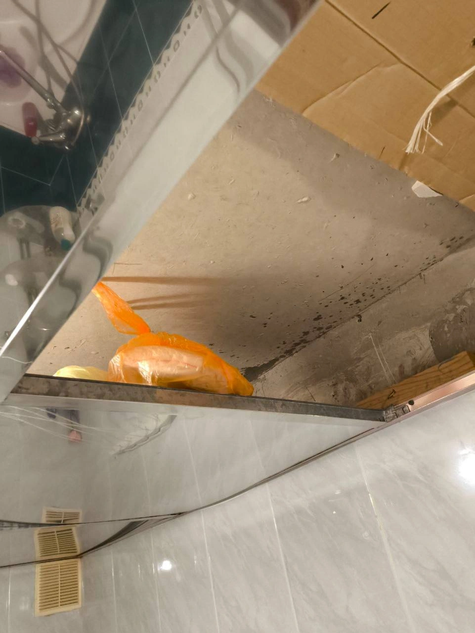 2ec19545-e824-42d2-a564-9f361a723737.jpg 2ec19545-e824-42d2-a564-9f361a723737.jpg