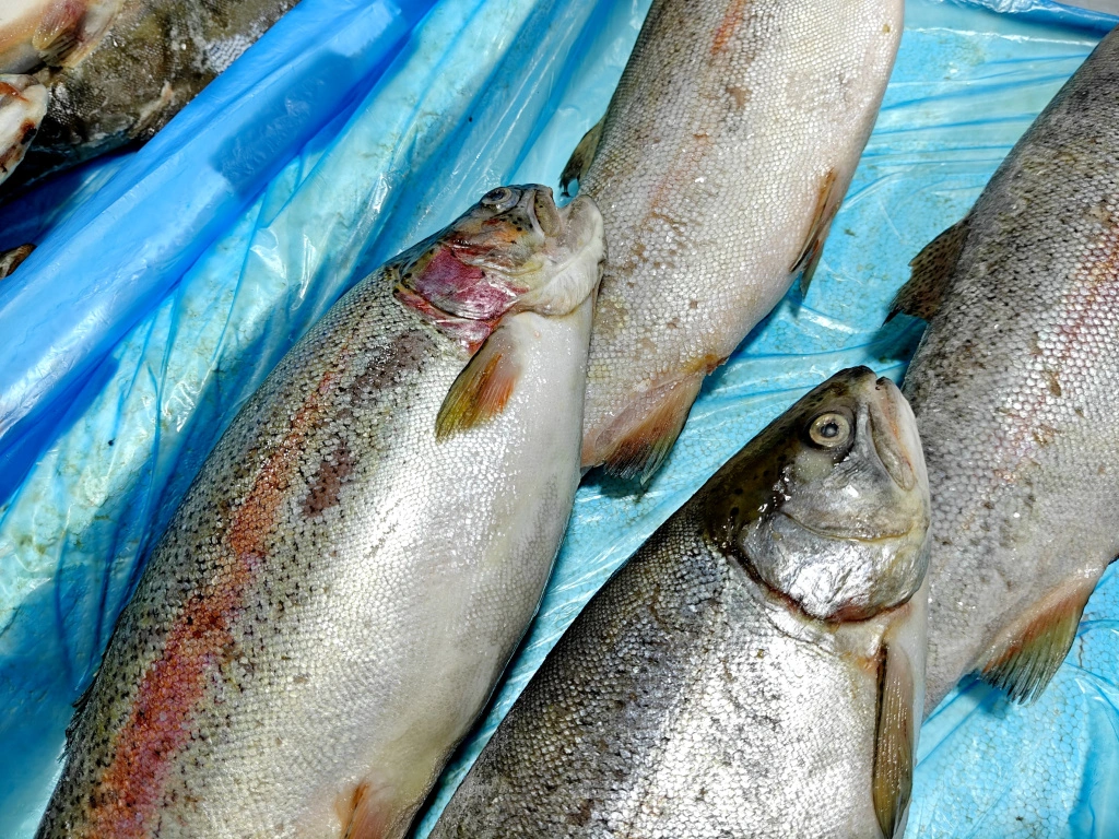 IMG20250404095017 (1).jpg IMG20250404095017 (1).jpg