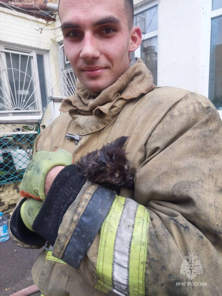 котей1.jpg котей1.jpg