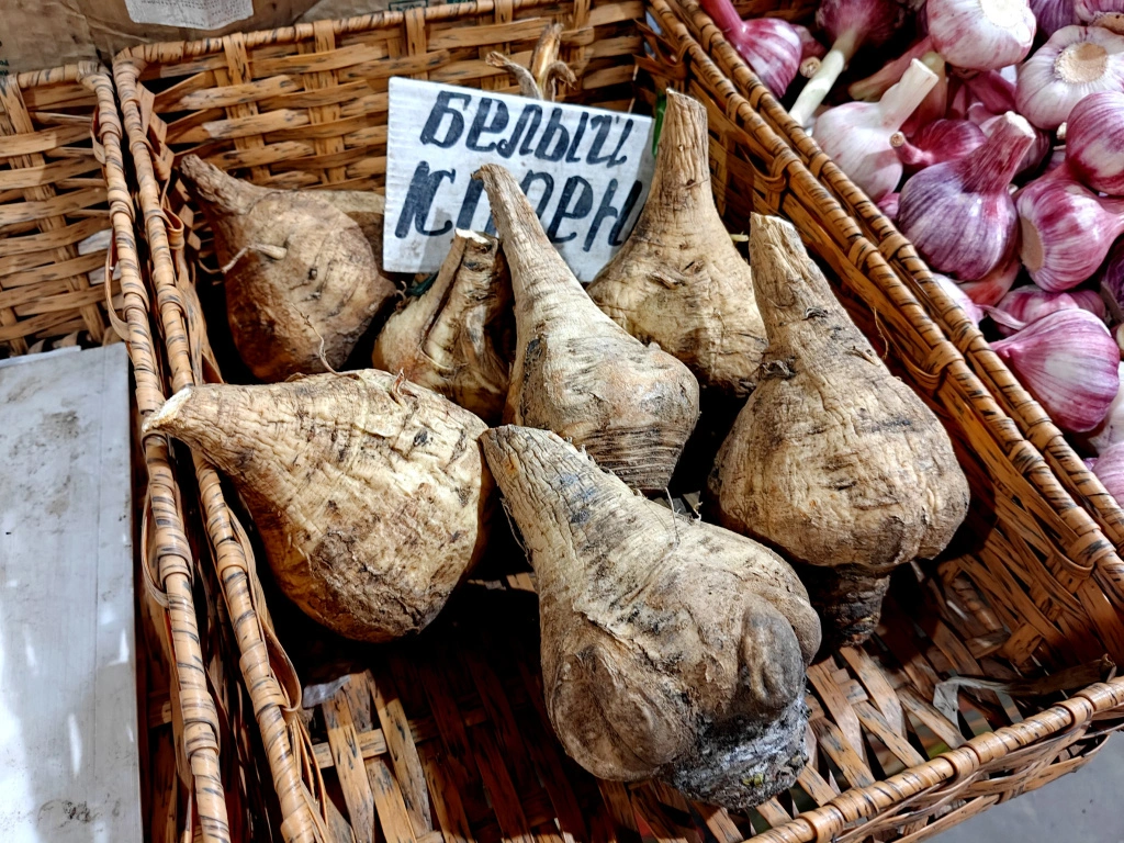 IMG20250321095453 (1).jpg