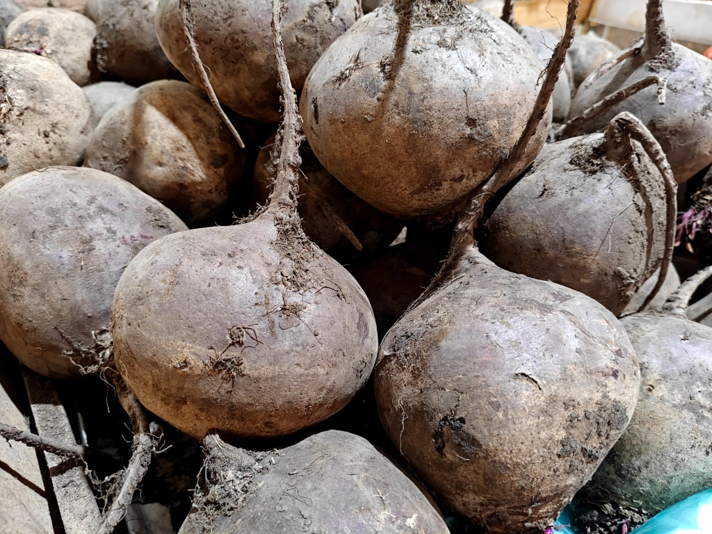 IMG20250411094313 (1).jpg IMG20250411094313 (1).jpg