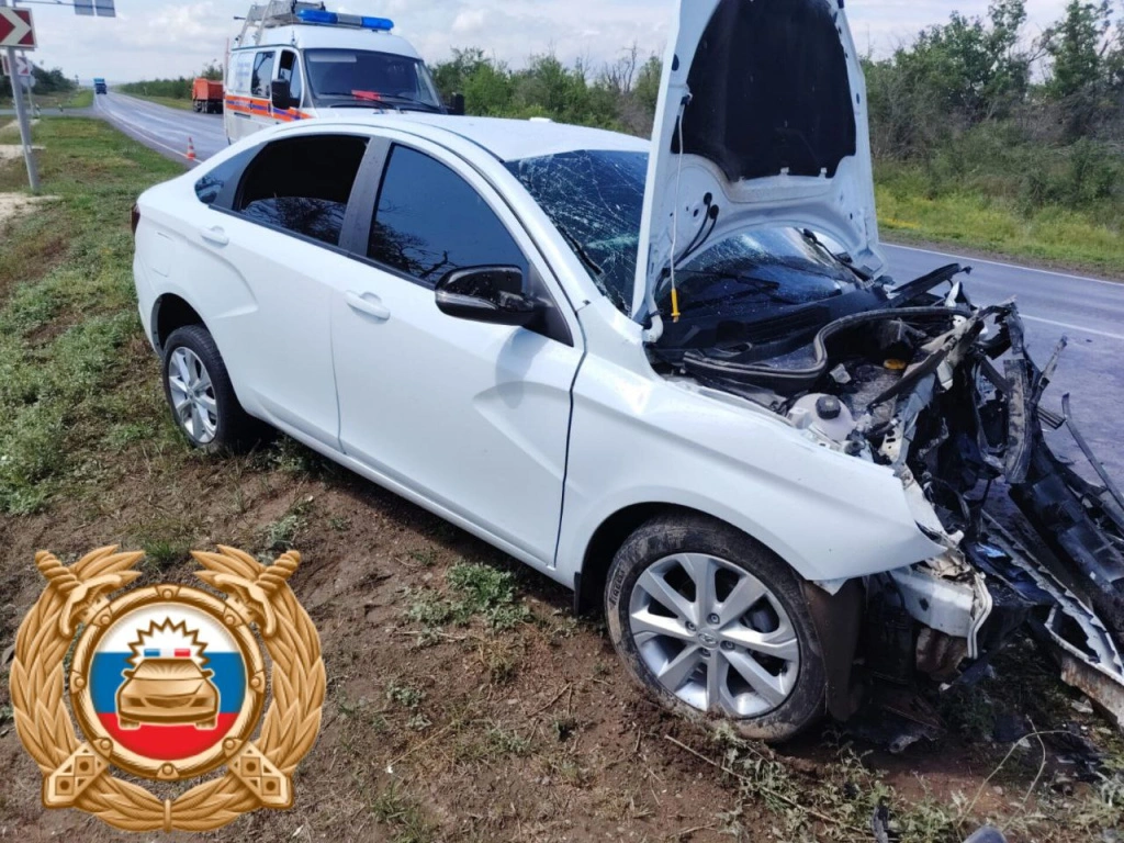 70110271-844e-49b6-b430-97d659eb21d7.jpeg 70110271-844e-49b6-b430-97d659eb21d7.jpeg