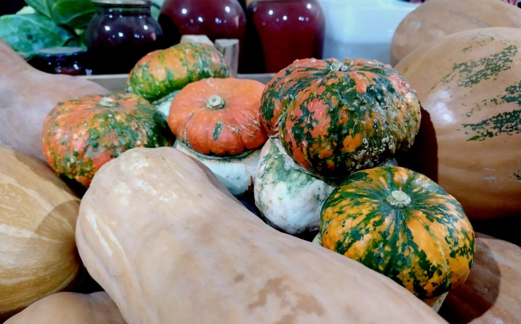 5452073052692145413 (1).jpg 5452073052692145413 (1).jpg