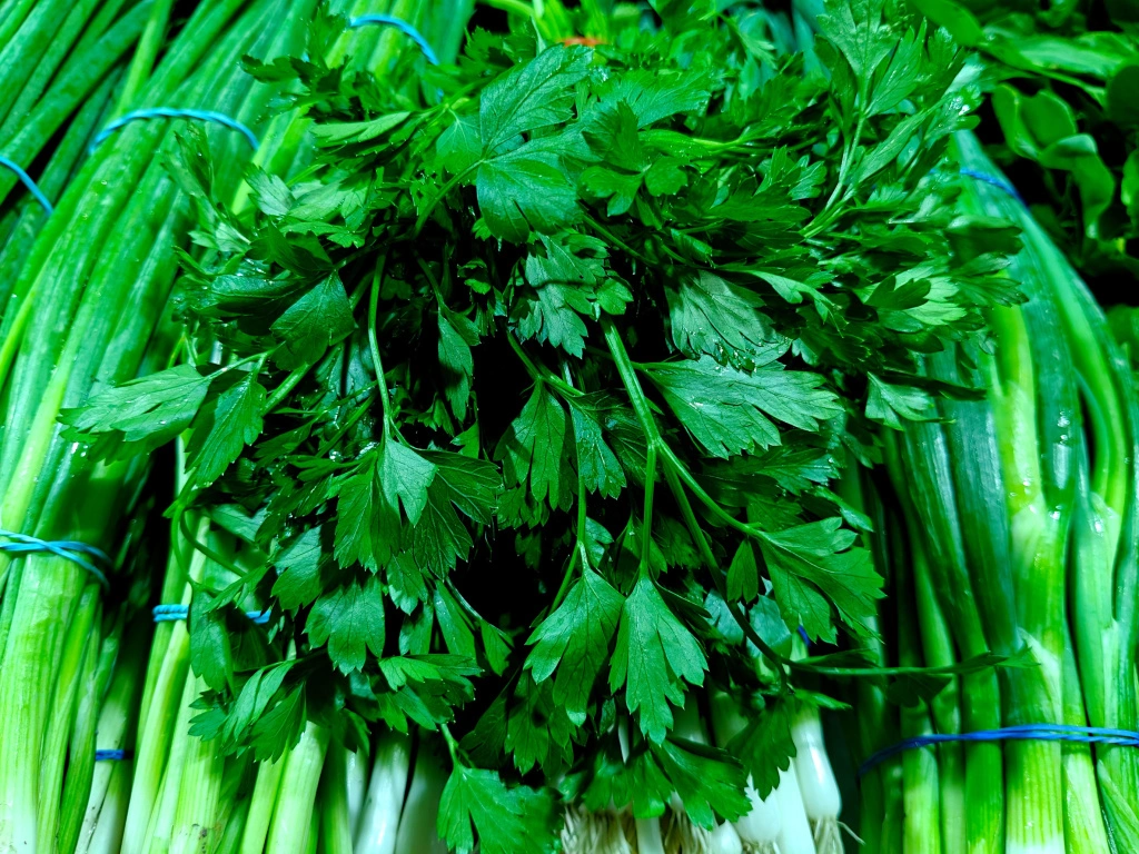 IMG20250627095218 (1).jpg IMG20250627095218 (1).jpg