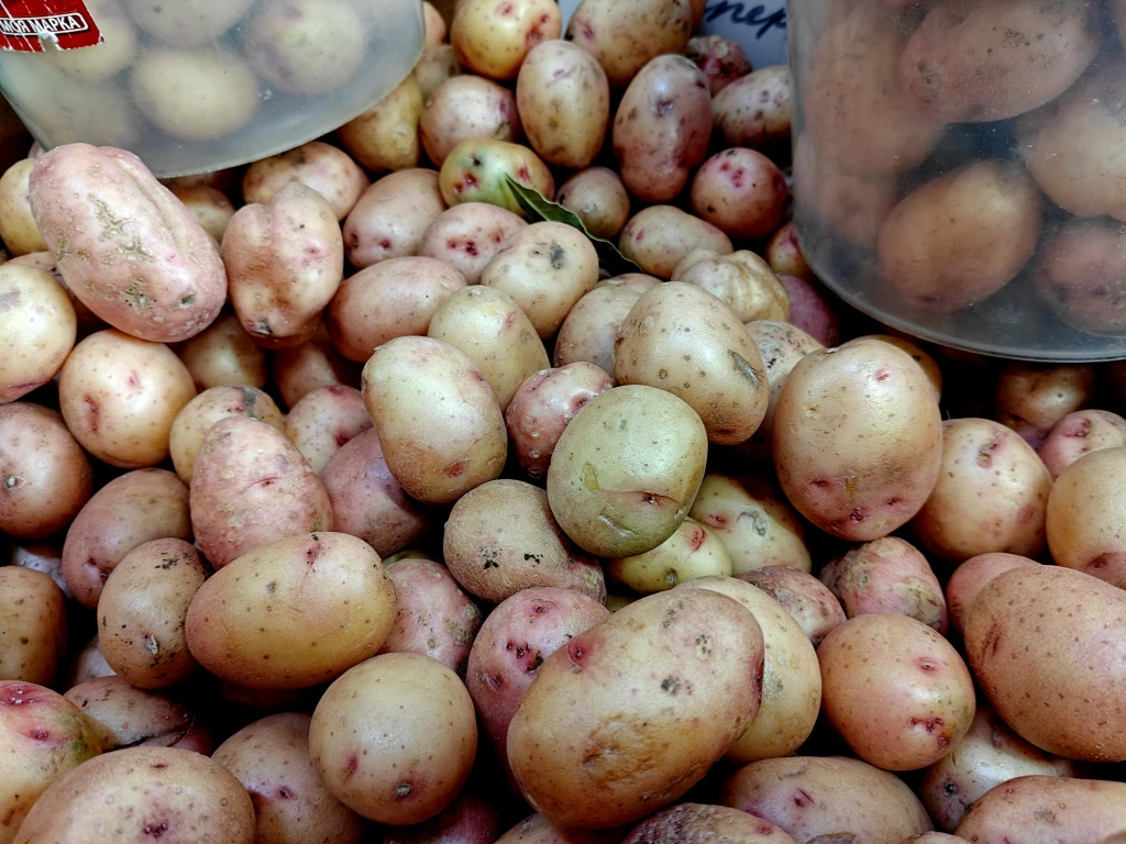 IMG20250327094605 (1).jpg