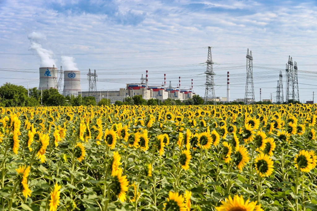 АЭС в подсолнухах.jpg